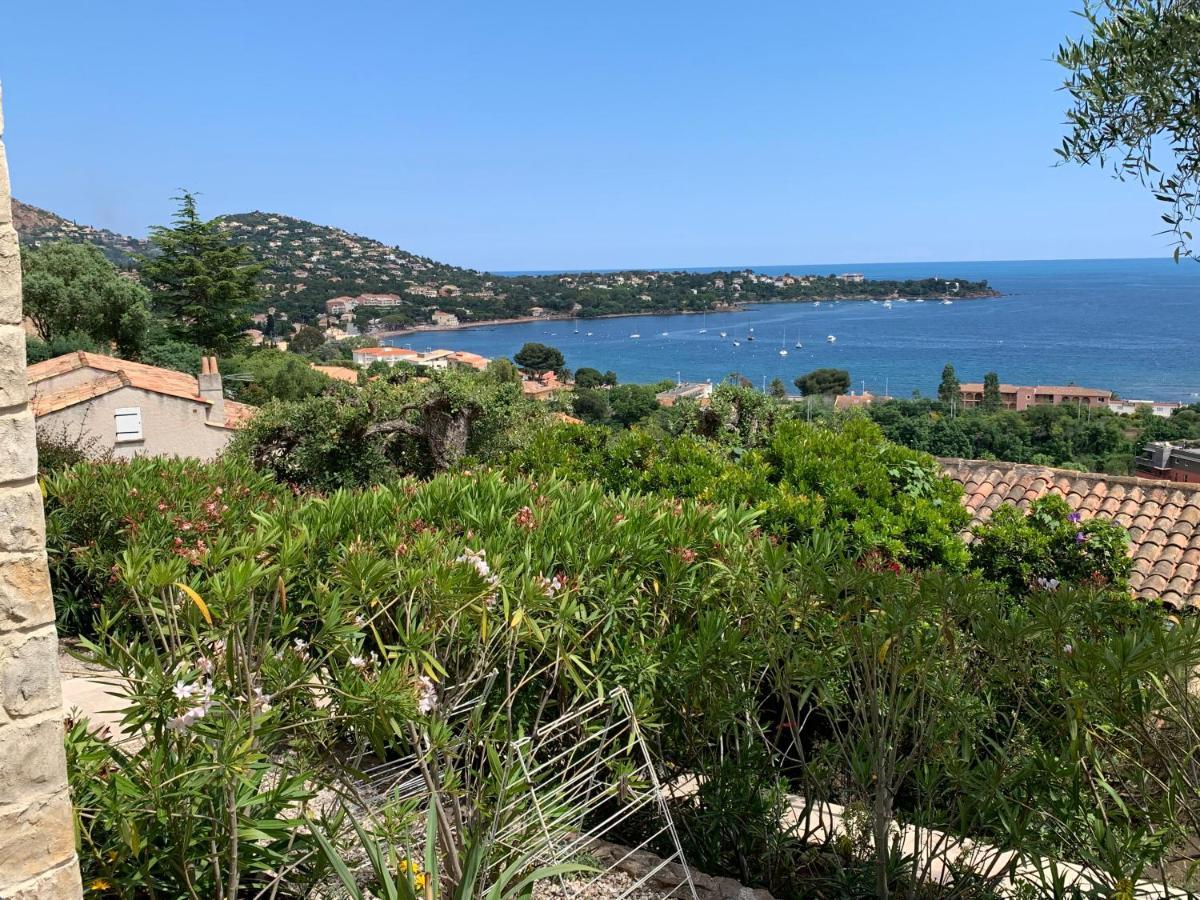 Villa Grand Baie Saint-Raphaël Buitenkant foto